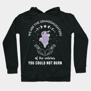 We are the granddaughters of the witches you couldn't burn Hoodie